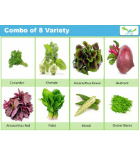 Iris Combo Kitchen Garden Pack (8 Hybrid Vegetable Varieties) 